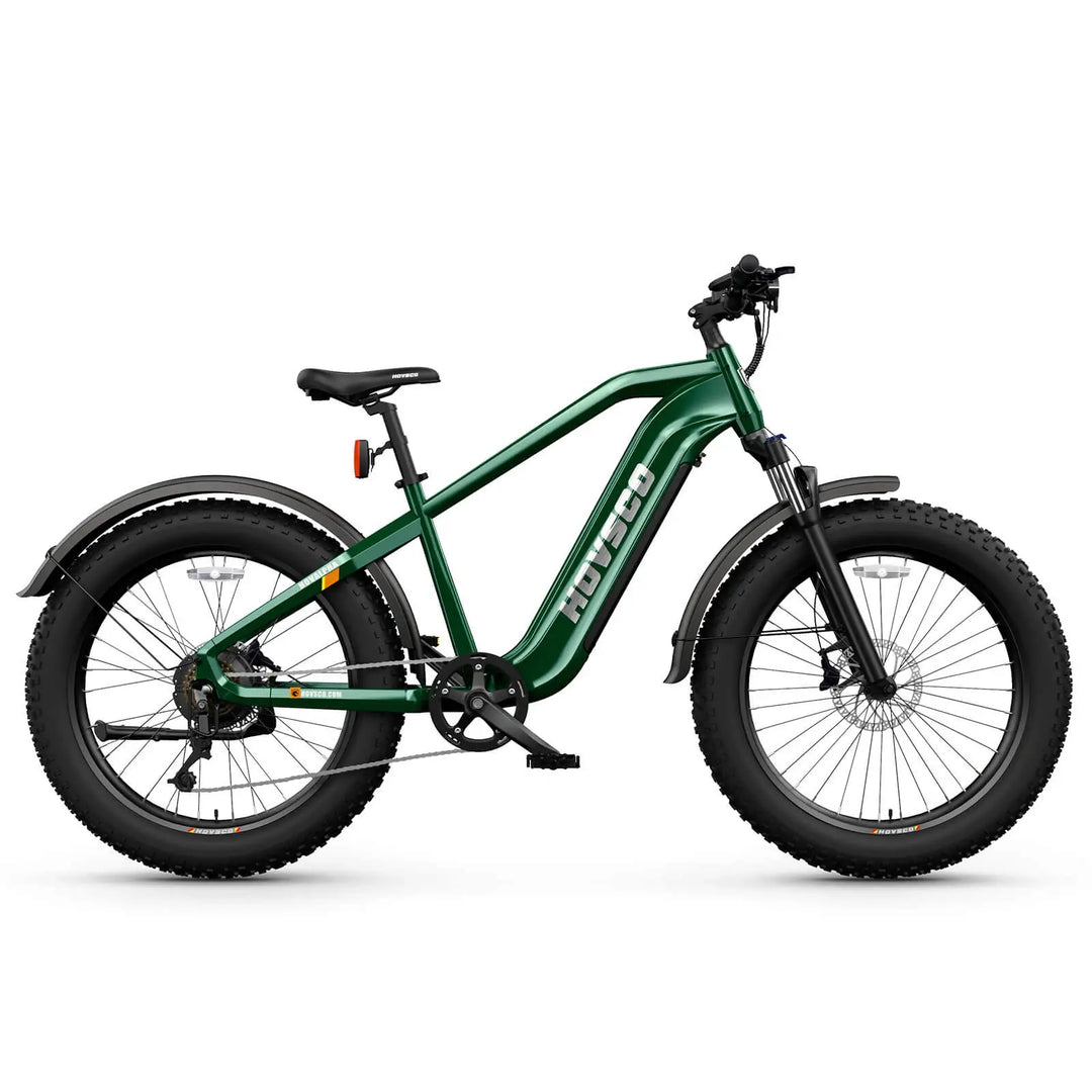 HOVSCO HovAlpha long-range fat-tire electric bike