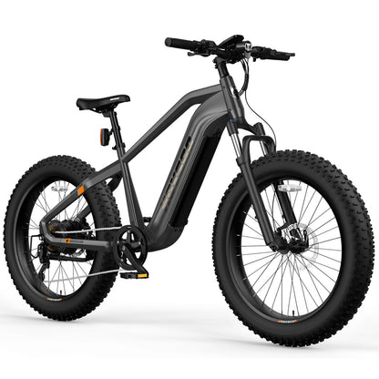 HovAlpha Fat-Tire Mountain Off-road Electric Bicycle for Commuting, Outdoor Recreation, and Mountain Biking HovAlpha Fat-Tire Mountain Off-road Electric Bicycle for Commuting, Outdoor Recreation, and Mountain Biking