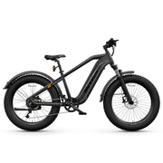 HOVSCO HovAlpha Long-Range E-Bike