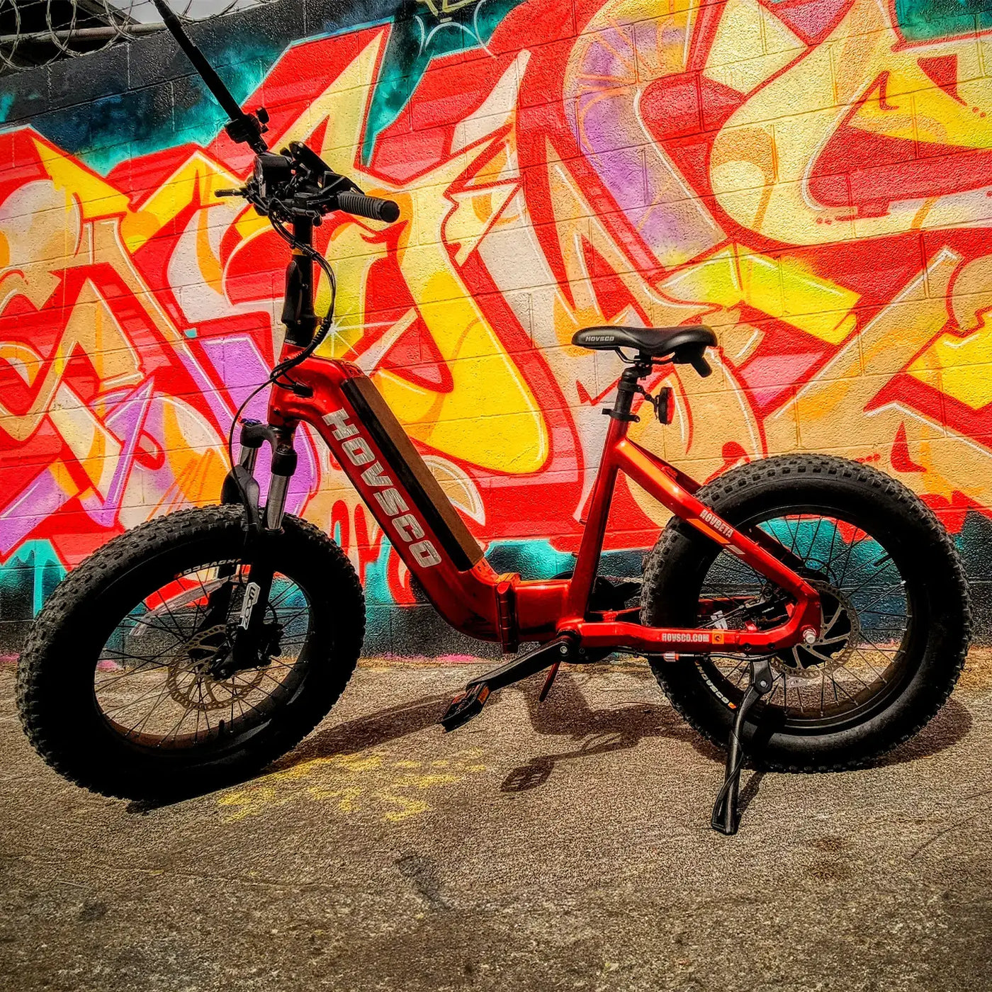 HOVSCO™ HovBeta 20" Foldable Fat Tire Electric Bike