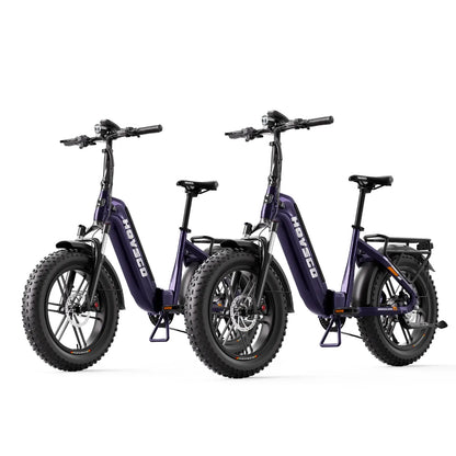 HOVSCO™ HovBeta 20" Foldable Fat Tire Electric Bike