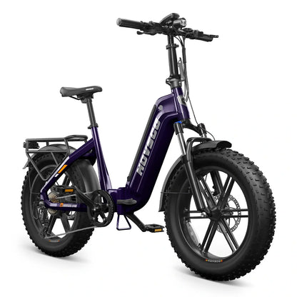 HOVSCO™ HovBeta 20" Foldable Fat Tire Electric Bike