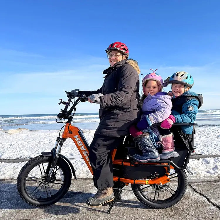 HOVSCO™ HovCart 20“ Step-Thru Electric Fat Tire Cargo Bike