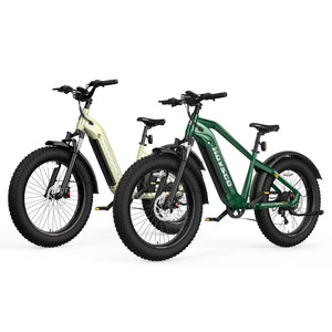 hovsco-hovalpha-step-over-fat-tire-ebike-23