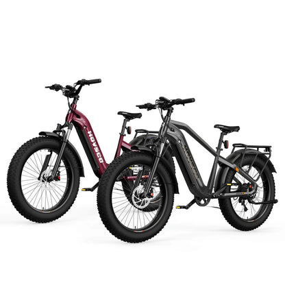 hovsco-hovalpha-step-over-fat-tire-ebike-28