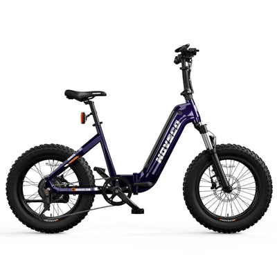 HOVSCO HovBeta 20" Foldable Fat Tire All Terrain Electric Bike Dark Purple
