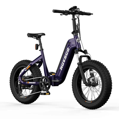 HOVSCO HovBeta 20" Foldable Fat Tire All Terrain Electric Bike Dark Purple